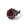 dark flower ring